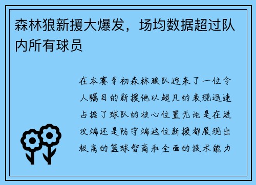 森林狼新援大爆发，场均数据超过队内所有球员