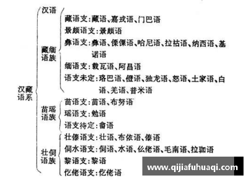 酷游官网青海有1支藏族不会说藏语,叫做“家西番”,是汉藏结合的共 - 副本